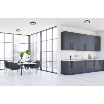 Šviestuvas BENO ECO 12W CCT O B