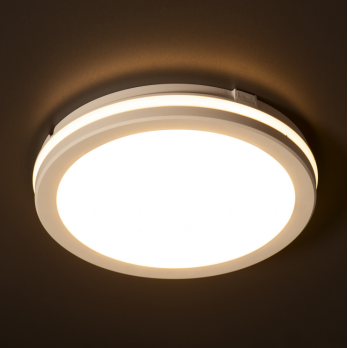 Šviestuvas BENO ECO 30W CCT O W