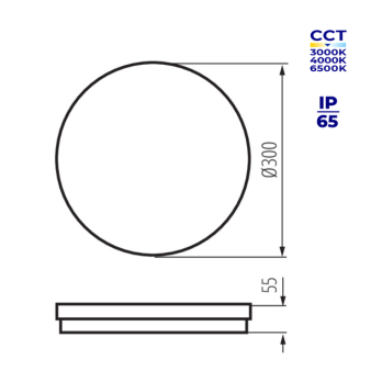 Šviestuvas BENO ECO 30W CCT O B