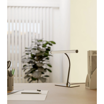 Šviestuvas RICCIONE (juoda)