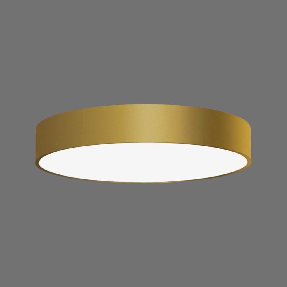 Šviestuvas ISIA-60 55W 4000K GOLD